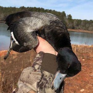 Meet your Posher, Toby